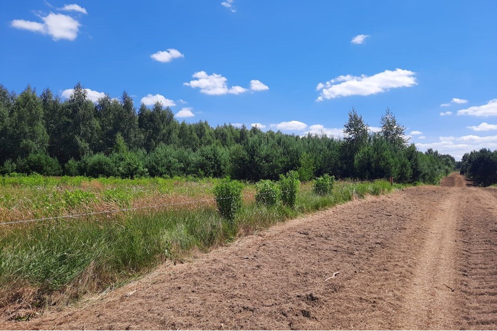 Działka budowlana - Sprzedaż - Józefów, Polska - 475137175_624698306668405_4721774206782042529_n.jpg - 810251061-18