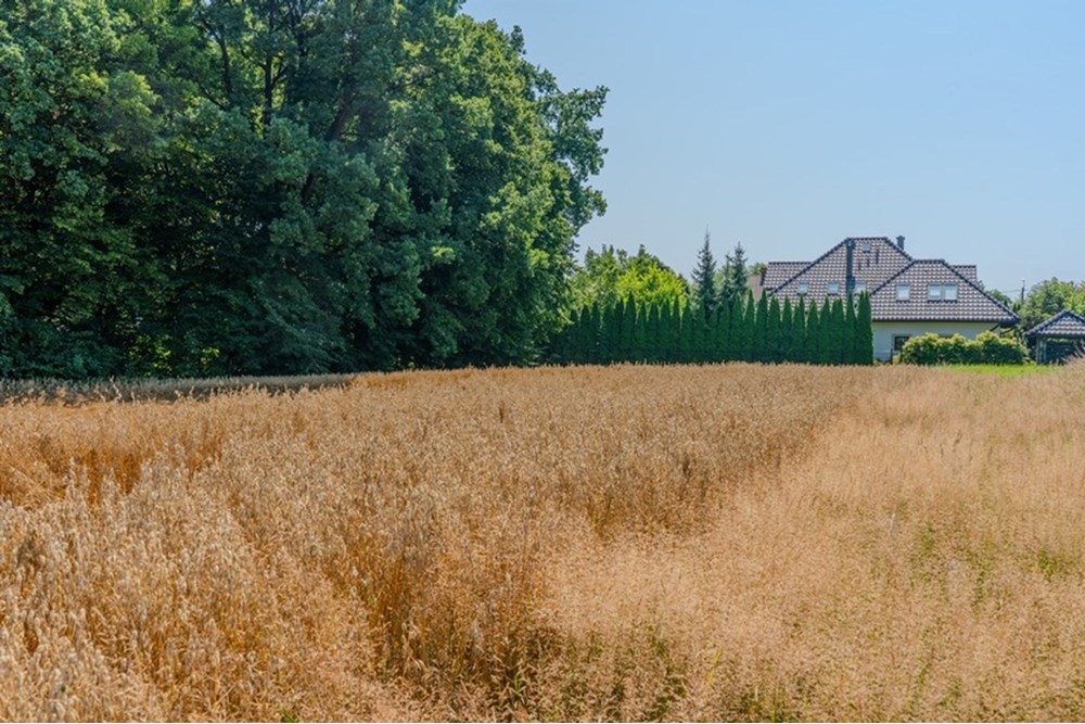 Działka budowlana - Sprzedaż - Bielsko-Biała, Polska - 11.JPG - 470131102-39