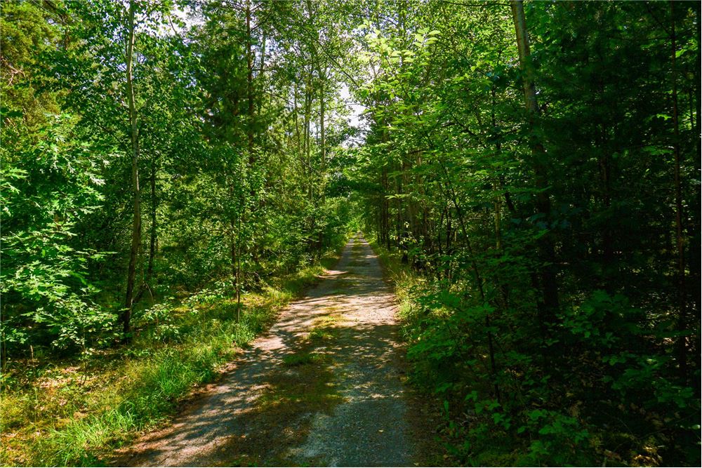 Nieruchomość inwestycyjna - Sprzedaż - Osiedle Wilga, Polska - 17 - 810141002-647