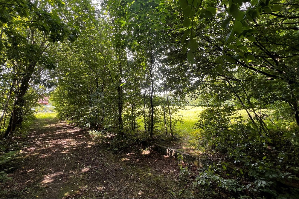 Działka budowlana - Sprzedaż - Jasienica, Polska - IMG_8108.jpeg - 800061117-35