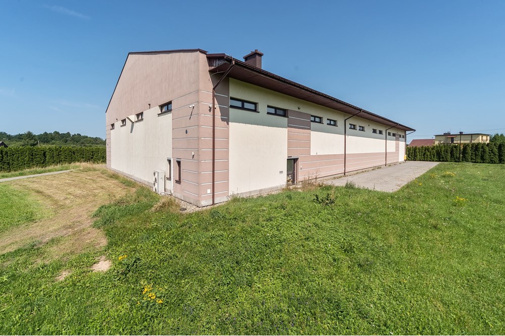 Hala - Sprzedaż - Czaniec, Polska - CG15_042D.jpg - 800061100-89