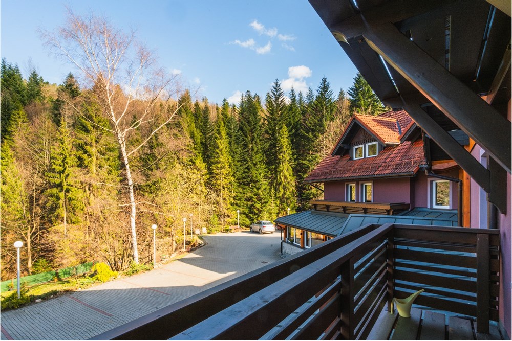 Sprzedaż firmy - Sprzedaż - Szczyrk, Polska - Hotel Szczyrk Damian-39.JPG - 800061126-16