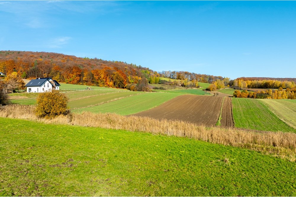 Działka budowlana - Sprzedaż - Siedlec, Polska - 20251031-DJI_0170-HDR.jpg - 800241005-218