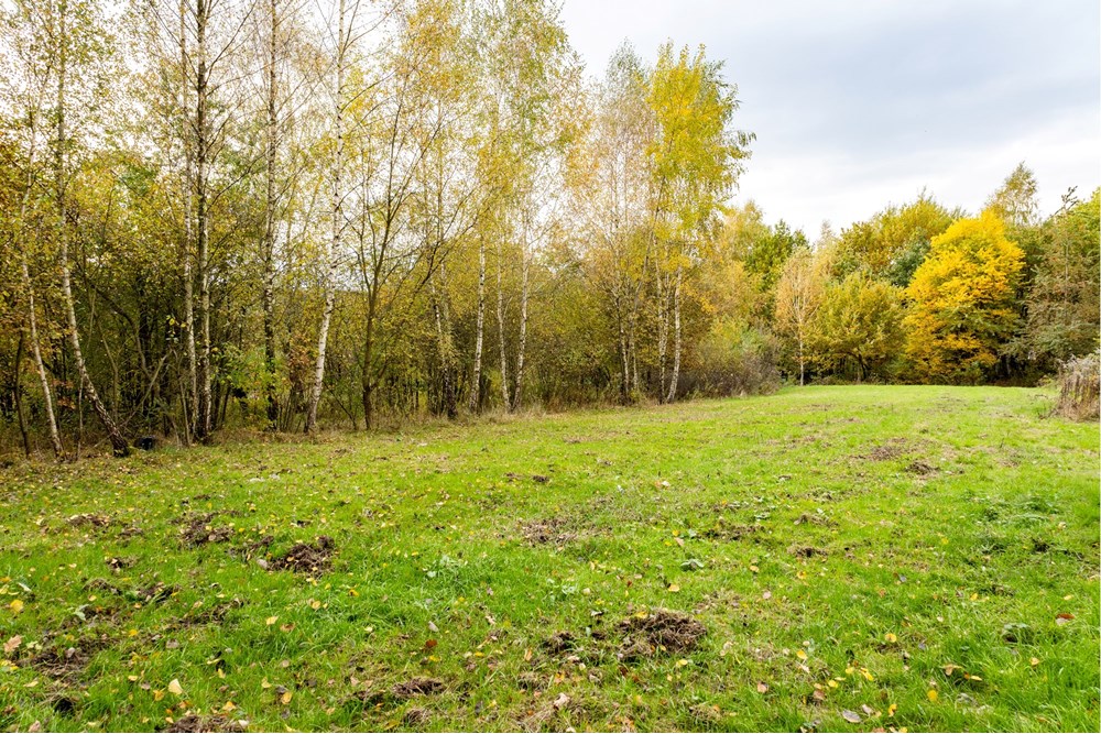 Działka budowlana - Sprzedaż - Żywiec, Polska - IMG_8494.jpg - 800061130-30