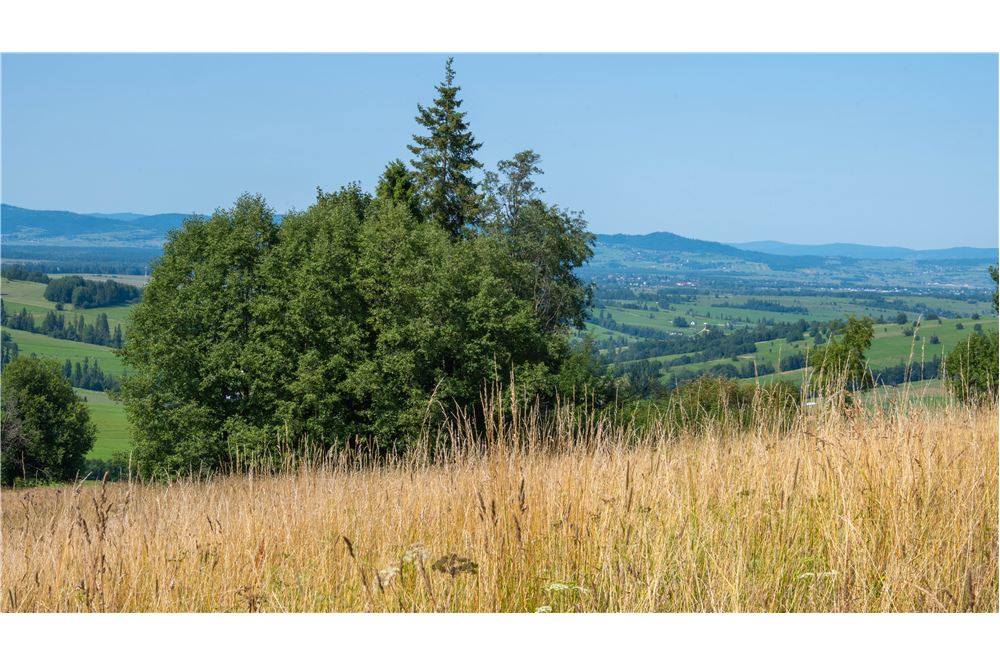 Nieruchomość gruntowa - Sprzedaż - Dzianisz, Polska - 44 - 800061116-23