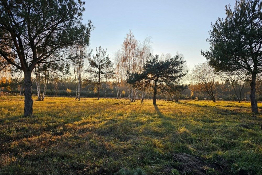 Działka - Sprzedaż - Józefów, Polska - 20251107_151000.jpg - 810251061-22