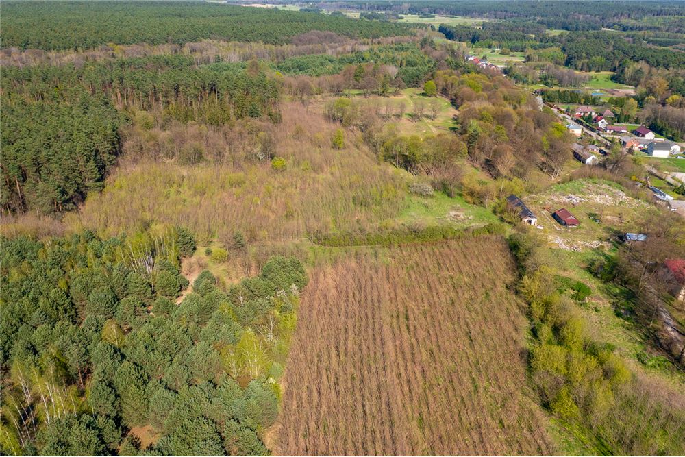 Nieruchomość gruntowa - Sprzedaż - Zakościele, Polska - 5 - 470291004-234