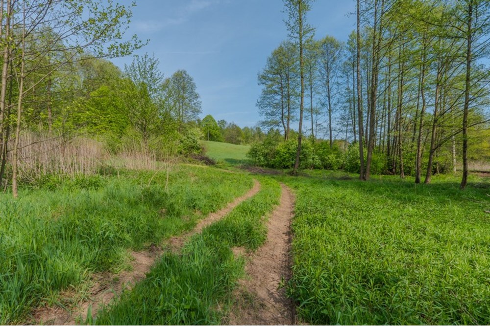 Działka - Sprzedaż - Barwałd Średni, Polska - BARWAŁD ŚREDNI_13.JPG - 470131106-29