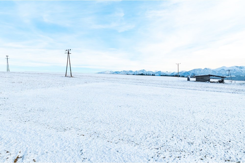 Działka budowlana - Sprzedaż - Czerwienne, Polska - 20251119-DJI_0913-HDR.jpg - 470151051-83