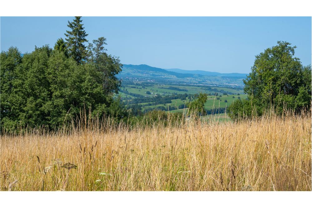 Nieruchomość gruntowa - Sprzedaż - Dzianisz, Polska - 45 - 800061116-23