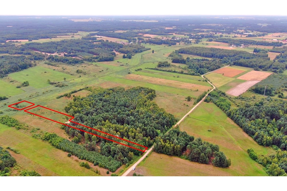 Nieruchomość gruntowa - Sprzedaż - Rudniki-Kolonia, Polska - Koniecpol (8).jpg - 800041074-18