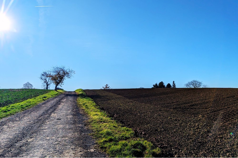 Nieruchomość inwestycyjna - Sprzedaż - Rudnik, Polska - 62ba563f-3907-47f4-a8d7-a19b4151b5ad.jpg - 470311007-9