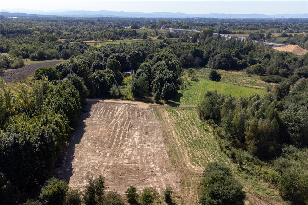 Działka - Sprzedaż - Jankowice, Polska - 20 - 800061103-174