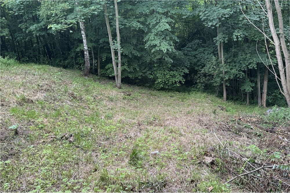 Działka budowlana - Sprzedaż - Chocznia, Polska - 7 - 800061100-85