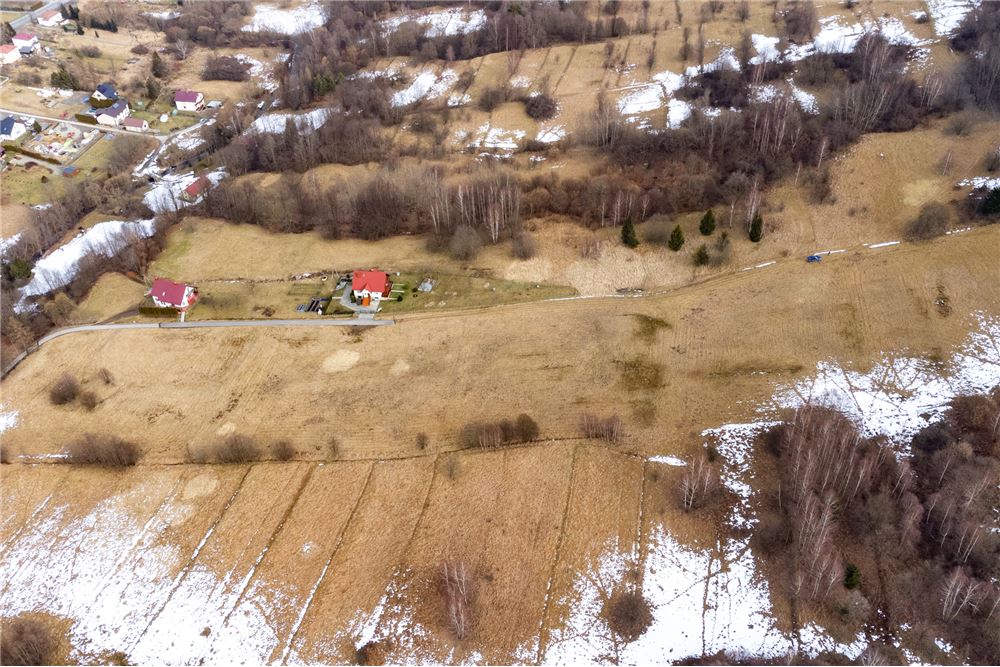 Działka budowlana - Sprzedaż - Las, Polska - 8 - 800061103-198