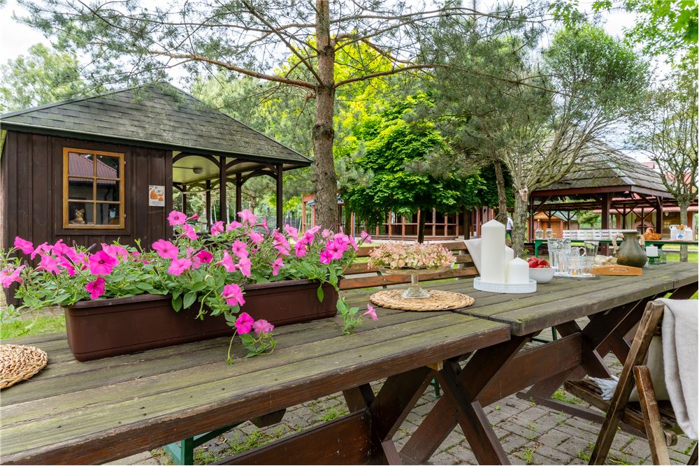 Biznes - Sprzedaż - Anielki, Polska - 4 - 810251037-46