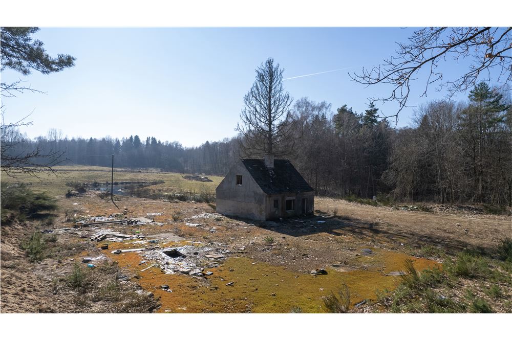 Dom wolnostojący - Sprzedaż - Jatynia, Polska - 13 - 470281009-39