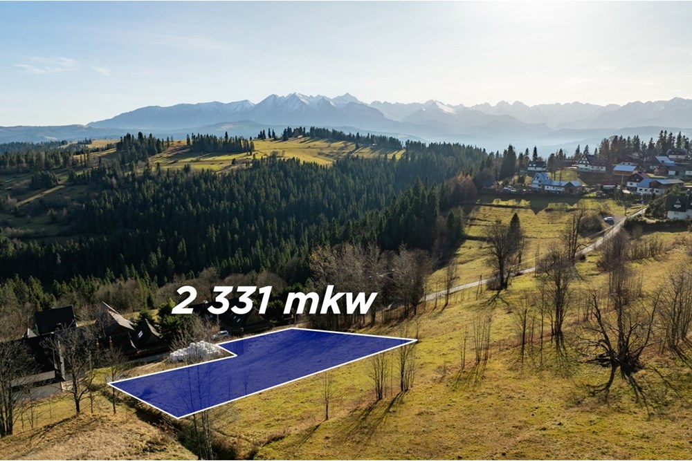 Działka - Sprzedaż - Rzepiska, Polska - 20251114-DJI_0878-HDR-kopia.jpg - 800091045-42