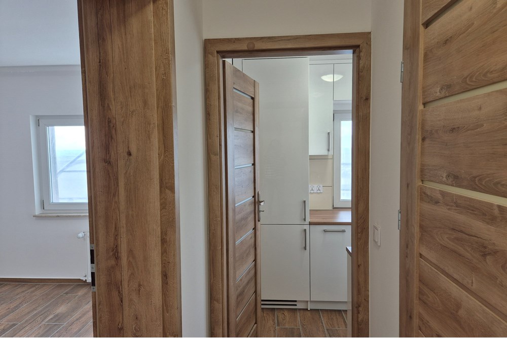 Mieszkanie - Wynajem - Łódź, Polska - przedpokój-kuchnia.jpg - 470291004-261