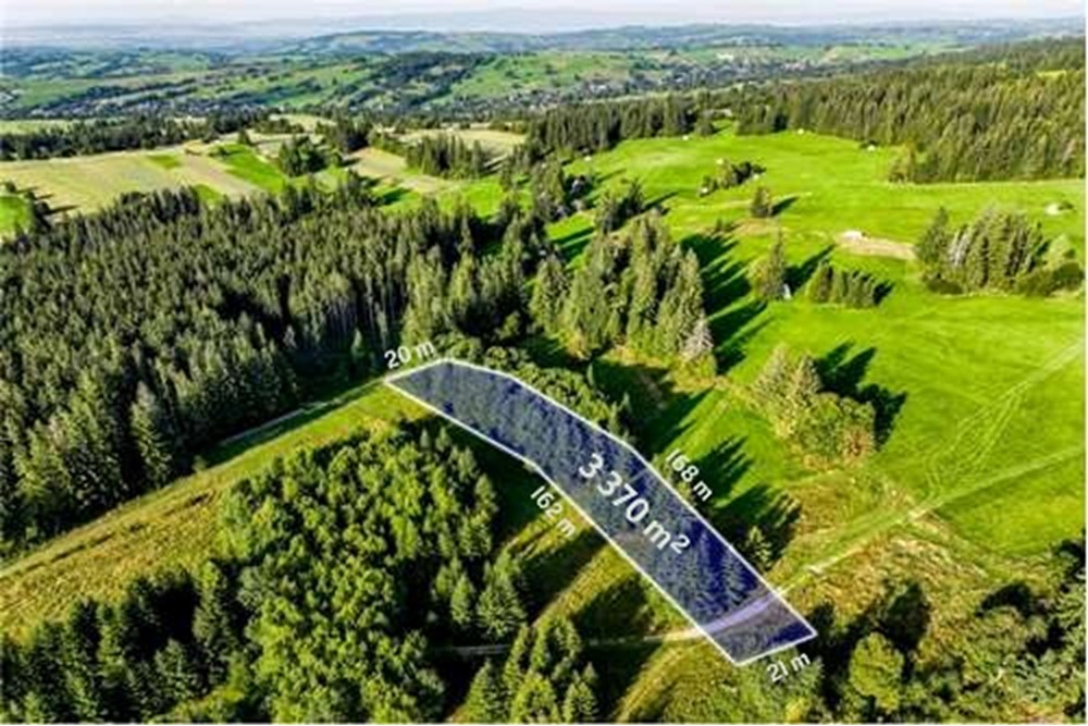 Działka - Sprzedaż - Dzianisz, Polska - D2.JPG - 470151050-9