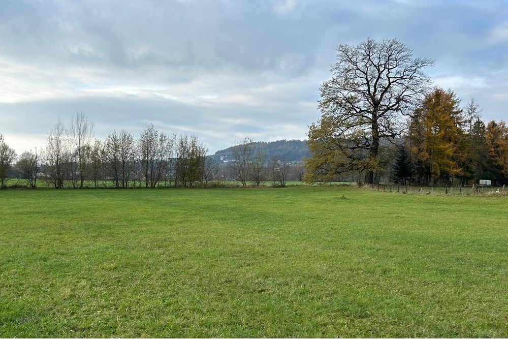 Działka budowlana - Sprzedaż - Kozakowice Górne, Polska - 1000047716.jpg - 800061030-128