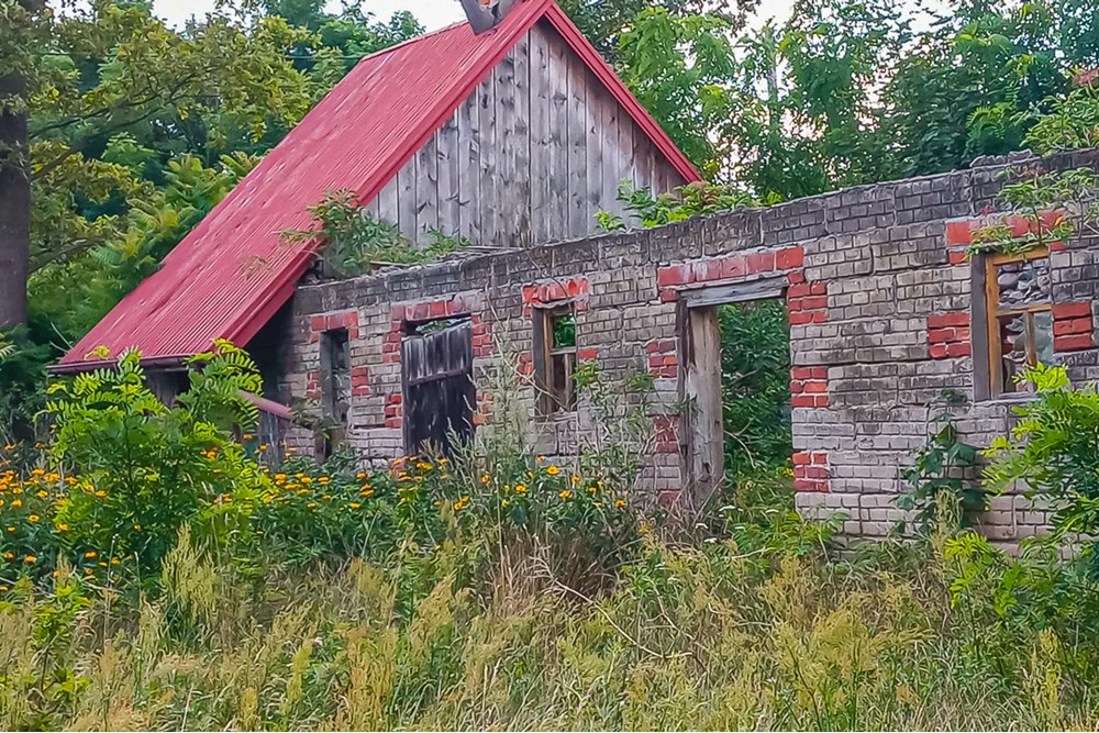 Działka - Sprzedaż - Grabostów, Polska - Dzialki-na-sprzedaz-6.jpg - 470191057-28