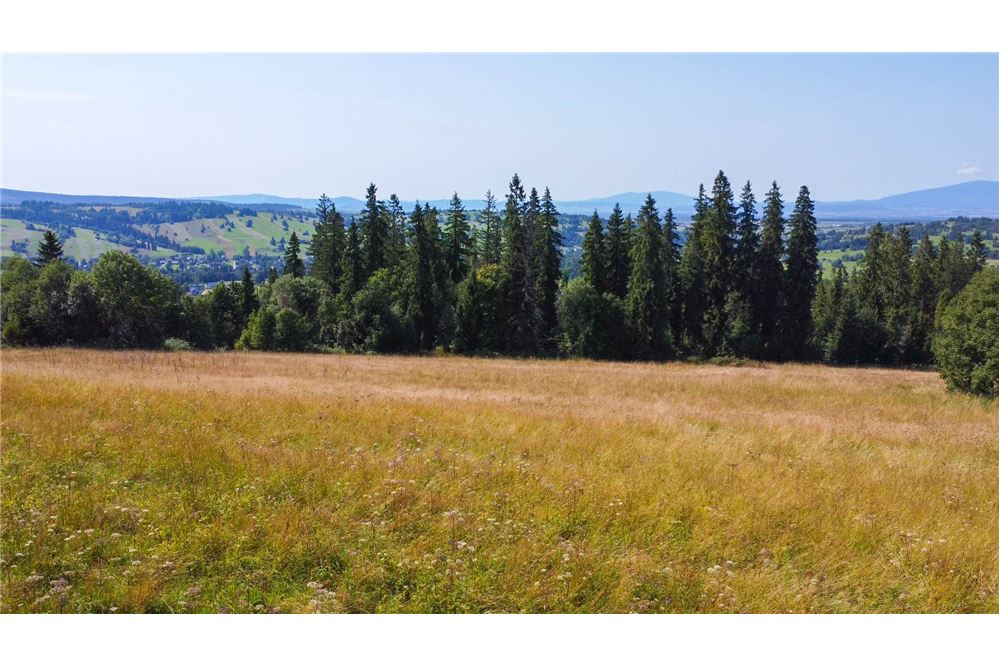 Nieruchomość gruntowa - Sprzedaż - Dzianisz, Polska - 55 - 800061116-23