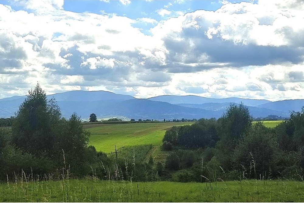 Działka budowlana - Sprzedaż - Lipowa, Polska - IMG_20250919_120747.jpg - 800061133-9