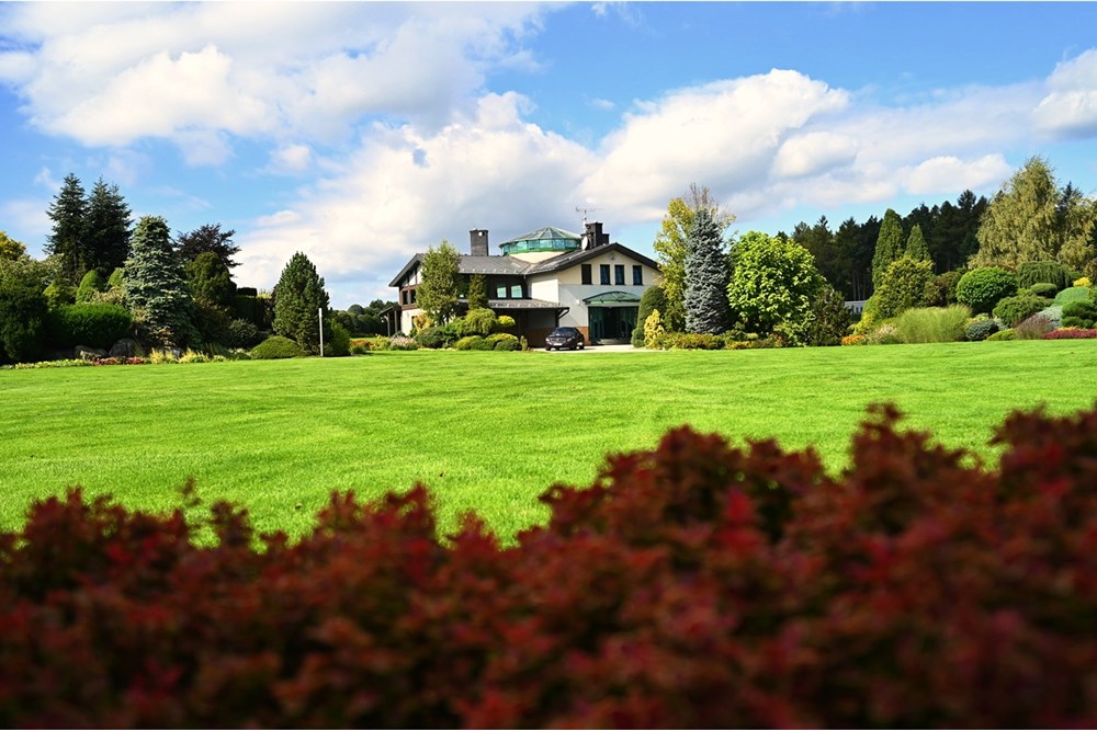 Rezydencja/Willa/Dworek - Sprzedaż - Janowice, Polska - 61.JPG - 470131040-436