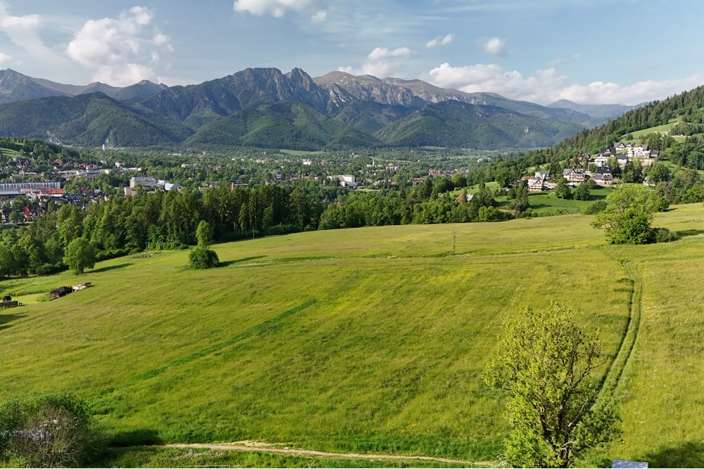 Nieruchomość gruntowa - Sprzedaż - Zakopane, Polska - DJI_20250607080236_0926_D.JPG - 800091054-33