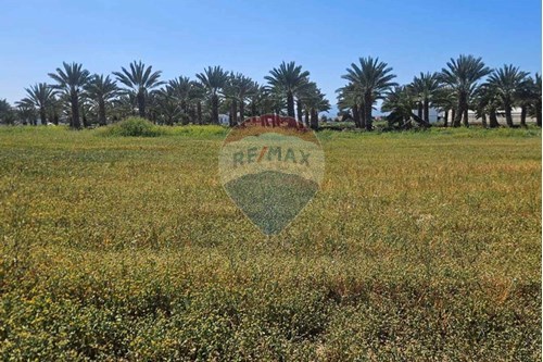 For Sale-Plot-Psimolofou, Nicosia-480051068-90