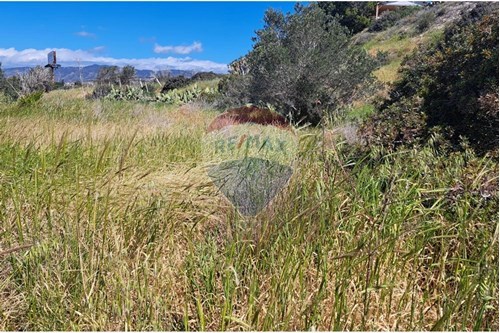 For Sale-Land-Moni, Limassol-480031028-5804