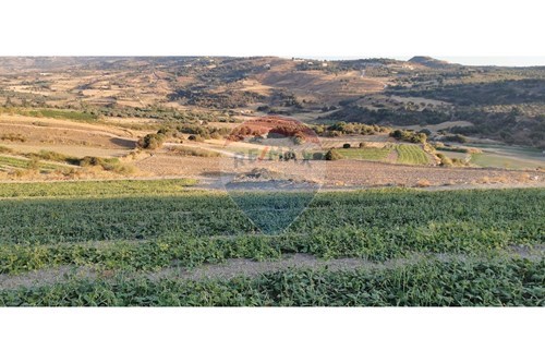 For Sale-Land-Filoysa Chrysochous, Paphos-480031139-125