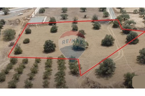 For Sale-Land-Tseri, Nicosia-480051068-88