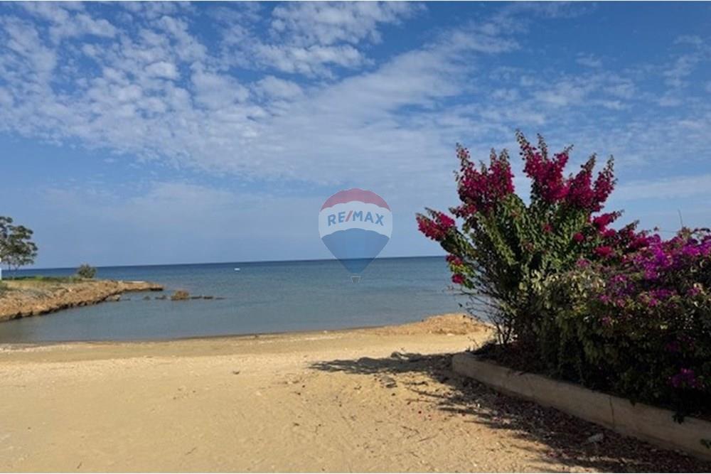 Residential - Villa - Protaras, Famagusta - CY - IMG_2358.jpg - 480091029-116