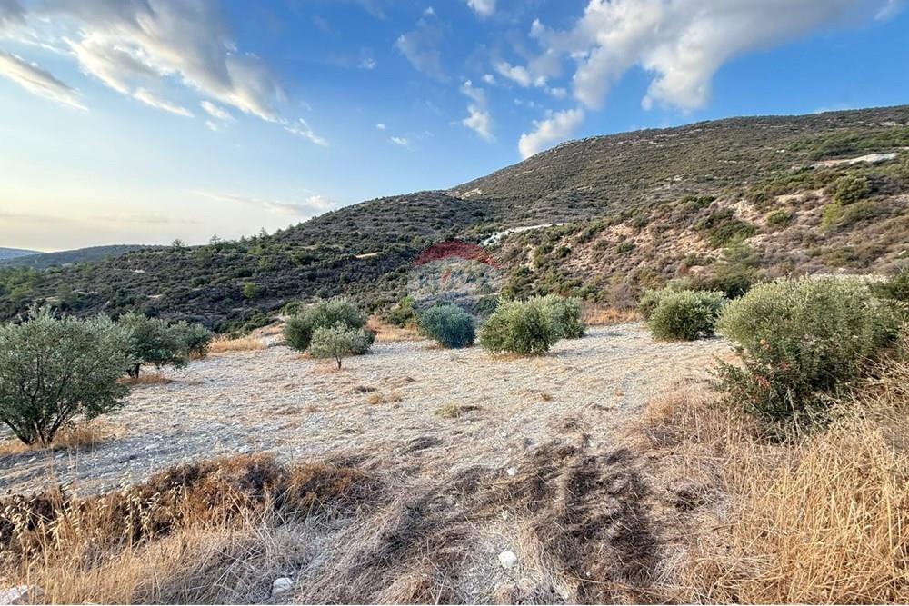 Residential - Land - Mathikoloni, Limassol - CY - WhatsApp Image 2025-10-03 at 11.51.07 AM.jpeg - 480031152-163