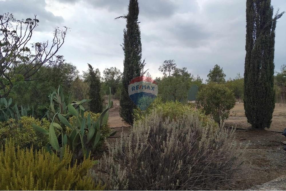 Residencial - Casa - Mosfiloti, Larnaca - CY - ea648390-a7df-4ffa-bea7-4c383bbfc086.jpeg - 480091033-2