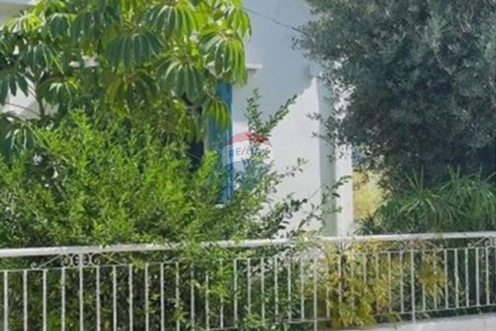 Residential - House - Limassol City Center, Limassol - CY - garden.jpg - 480031146-289