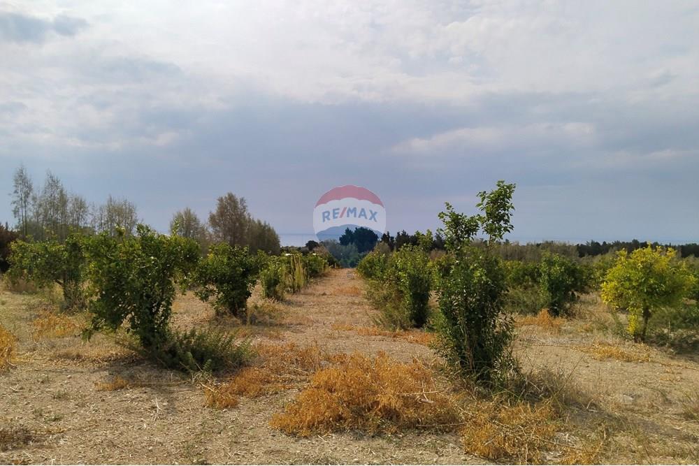 Residencial - Terreno - Kouklia, Paphos - CY - IMG_20251103_123223.jpg - 480031139-207