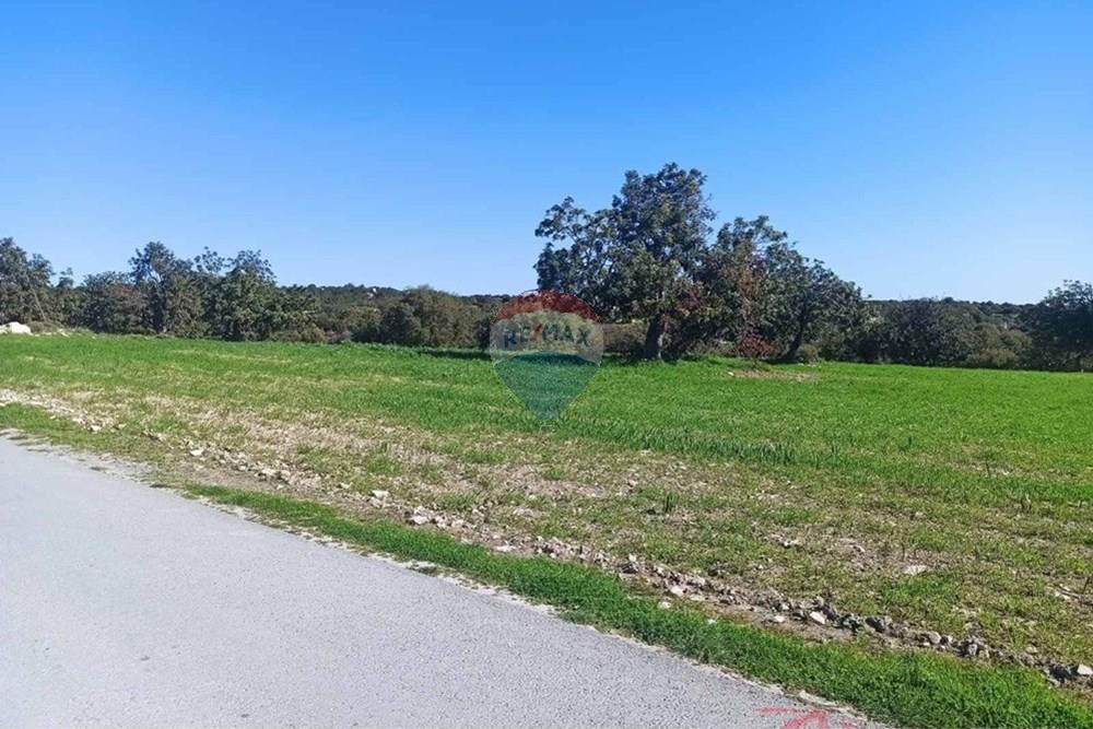 Residential - Land - Anogyra, Limassol - CY - Ανογυρα.jpeg - 480031028-6616