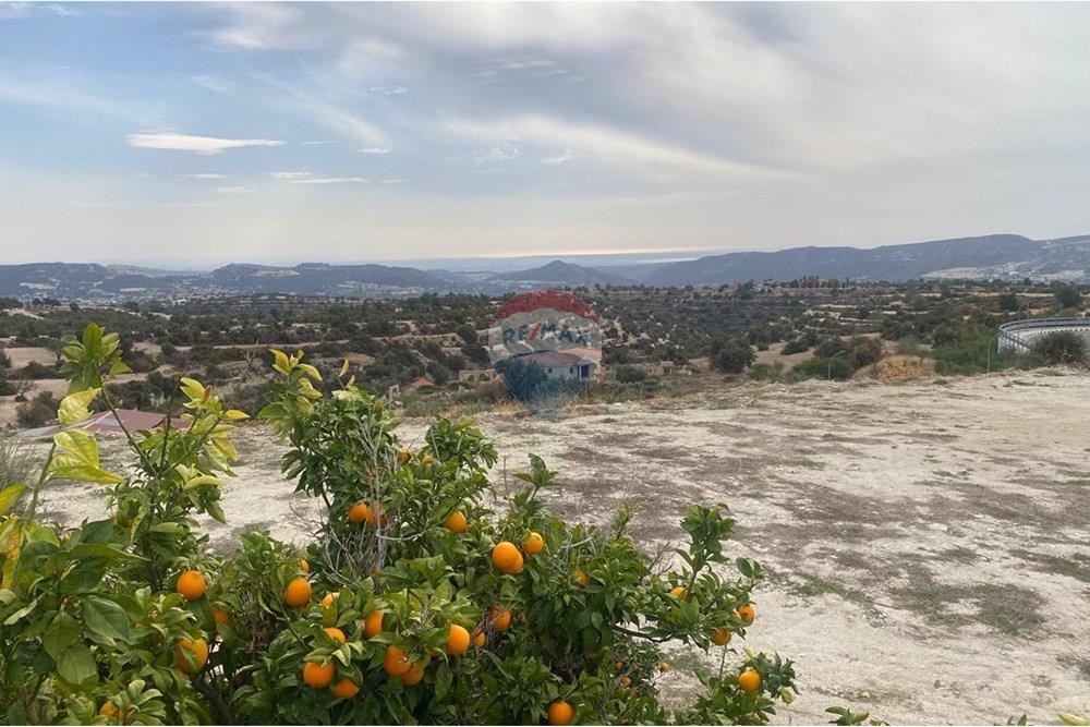 Comercial - Restaurante - Apesia, Limassol - CY - WhatsApp Image 2025-12-04 at 12.25.13_9d71e919.jpg - 480031147-83