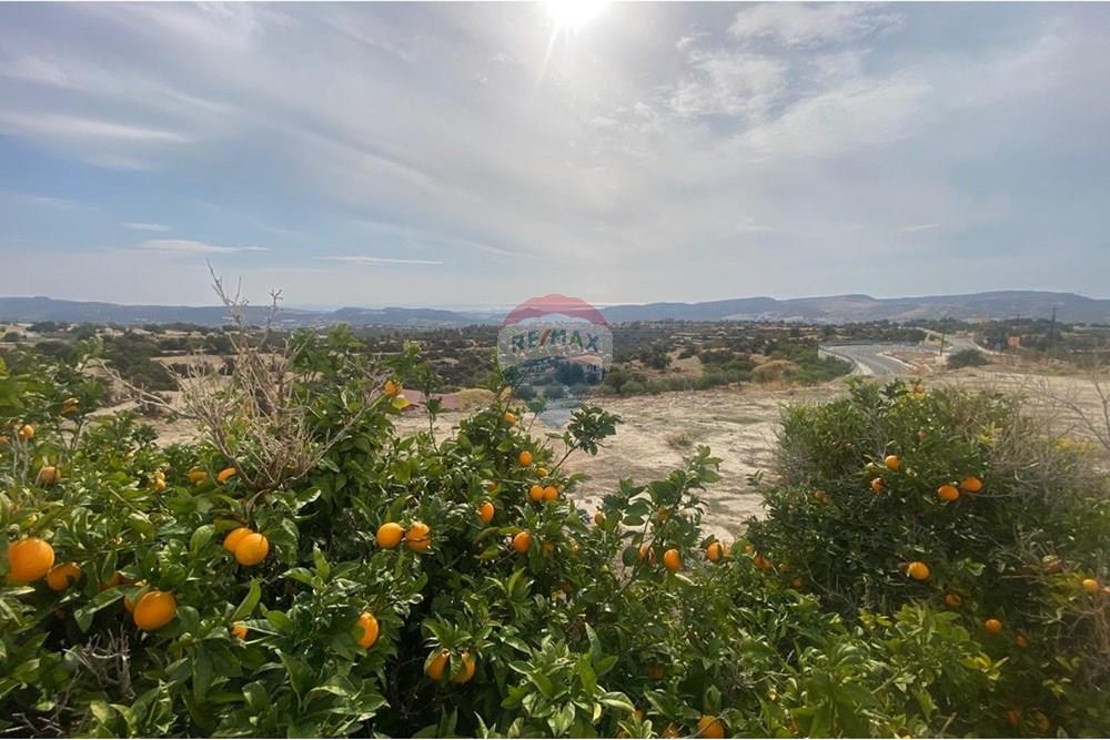 Comercial - Restaurante - Apesia, Limassol - CY - WhatsApp Image 2025-12-04 at 12.25.13_c92ce6b4.jpg - 480031147-83