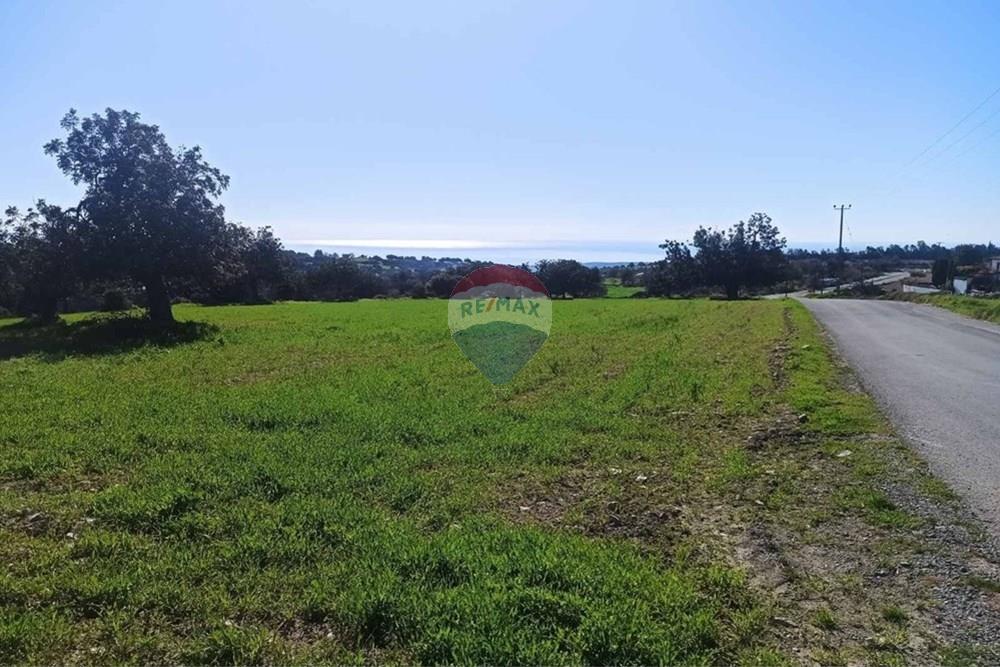 Residential - Land - Anogyra, Limassol - CY - 1082-232 φωτο.jpeg - 480031028-6616