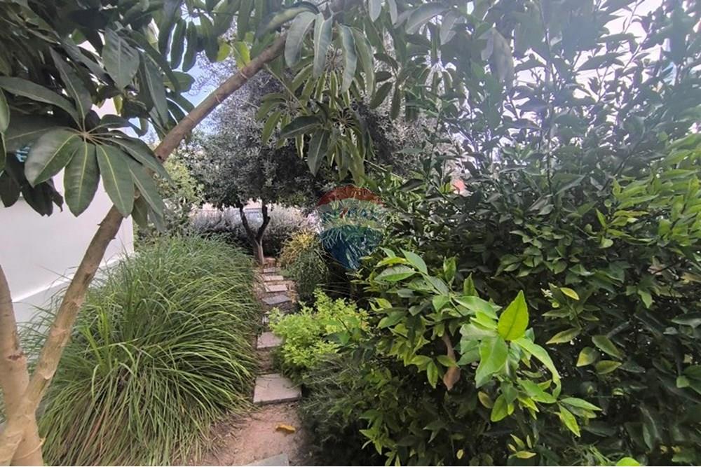 Comercial - Escritórios - Limassol City Center, Limassol - CY - garden1.jpg - 480031146-293