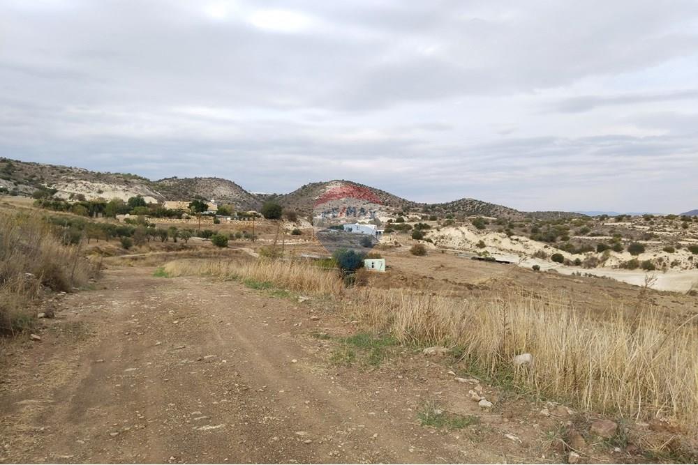 Residential - Land - Nata, Paphos - CY - IMG_20251103_152103.jpg - 480031139-208