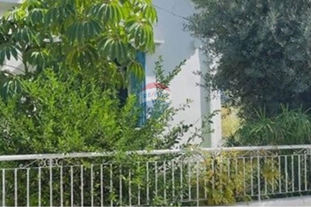 Comercial - Escritórios - Limassol City Center, Limassol - CY - garden.jpg - 480031146-293