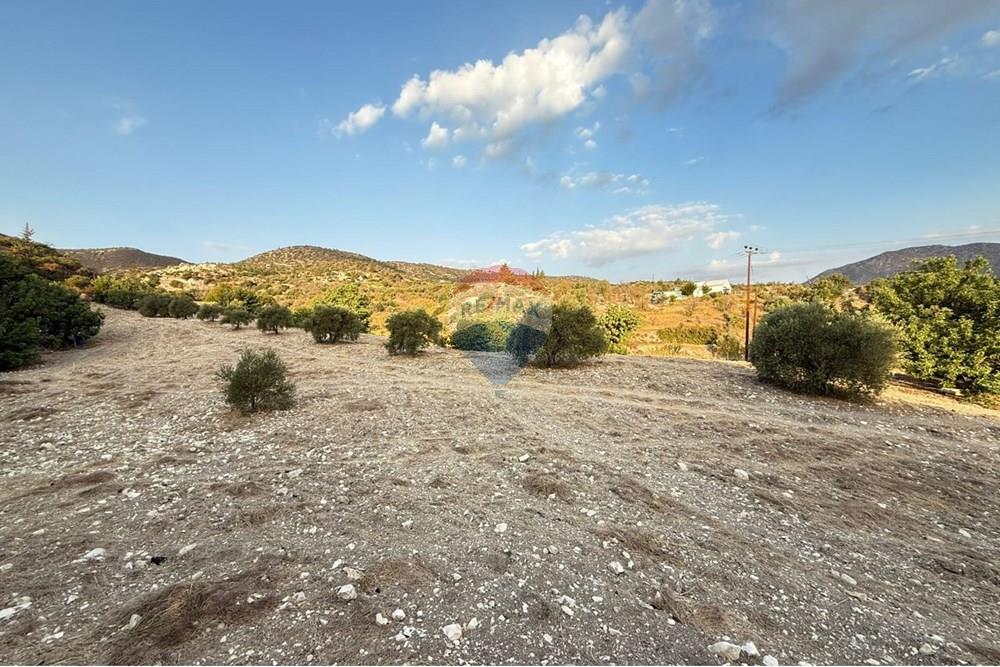 Prédio Habitacional - Terreno - Mathikoloni, Limassol - CY - WhatsApp Image 2025-10-03 at 3.42.04 PM (1).jpeg - 480031152-164