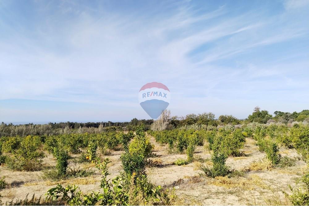 Residencial - Terreno - Kouklia, Paphos - CY - IMG_20251101_093744.jpg - 480031139-207