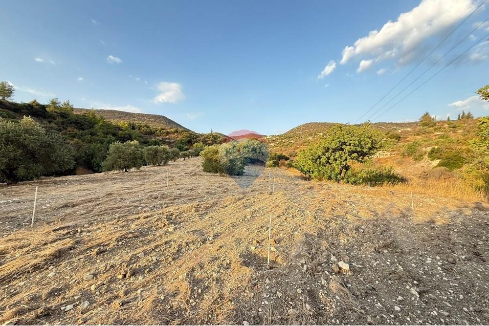 Prédio Habitacional - Terreno - Mathikoloni, Limassol - CY - WhatsApp Image 2025-10-03 at 3.42.04 PM (3).jpeg - 480031152-164