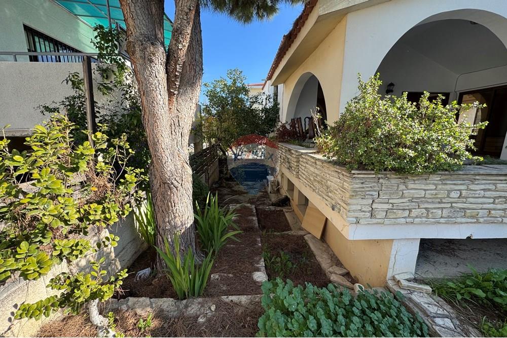 Residential - House - Larnaca Municipality, Larnaca - CY - IMG_0196.jpg - 480091017-269